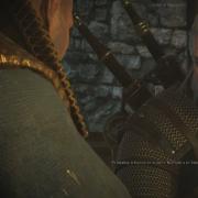 Witcher 3: Wild Hunt, The: bandicam 2014-06-11 02-07-24-386.jpg